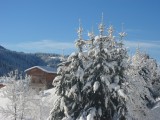 Chez-Rose-vue-hiver-location-appartement-chalet-Les-Gets