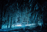 cocon-des-neiges-village-hiver-location-appartement-chalet-Les-Gets