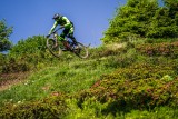 dsc05419-3888473