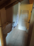 Fern-salle-de-bain-location-chalet-appartement-Les-Gets