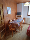 Flambee-salon-sejour-location-appartement-chalet-Les-Gets