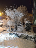 Floriere-3-exterieur appartement-chalet-Les-Gets