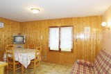 Forge-A-salon-location-appartement-chalet-Les-Gets