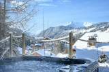 hot-tub-and-outside-taken-3-dec-2021-0682-copy-14823971