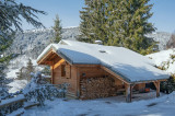 hot-tub-and-outside-taken-3-dec-2021-0694-copy-14823972