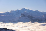image5-16498963
