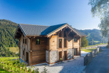 les-gets-hd-79-14874661