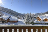 main-chalet-and-apartment-0939-14817514