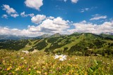 paysage-ete-les-gets-montagne