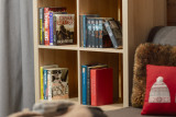 Suite-de-l-Alpe-Mont-Chery-salon-decoration-detail-location-appartement-chalet-Les-Gets