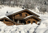 talini-4000-3028-14842038