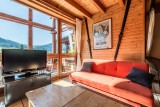 Telemark-salon-television-chalet-appartement-Les-Gets