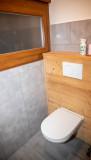 Toure-2-toilettes-appartement-chalet-Les-Gets