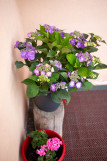 Tournier-C3-detail-decoration-location-chalet-appartement-Les-Gets