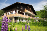Tournier-D3-studio-exterieur-ete-location-chalet-appartement-Les-Gets