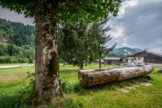 Arolle-Bouquetin-jardin-bassin-location-appartement-chalet-Les-Gets Arolle-Bouquetin-jardin-bassin-location-appartement-chalet-Les-Gets