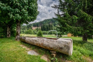 Arolle-Bouquetin-jardin-bassin2-location-appartement-chalet-Les-Gets Arolle-Bouquetin-jardin-bassin2-location-appartement-chalet-Les-Gets