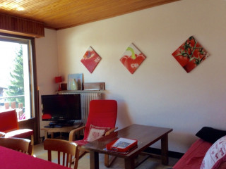 Eau-Vive-2-salon-location-appartement-chalet-Les-Gets