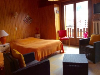 Eau-Vive-4-salon-lit-double-location-appartement-chalet-Les-Gets