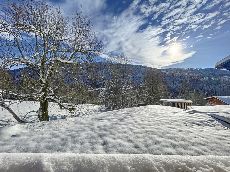 chaletLassarre-1700820597_1701940692_40763_b2f3c2f