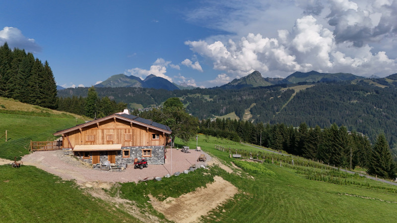 DJI_20240813172631_0115_D