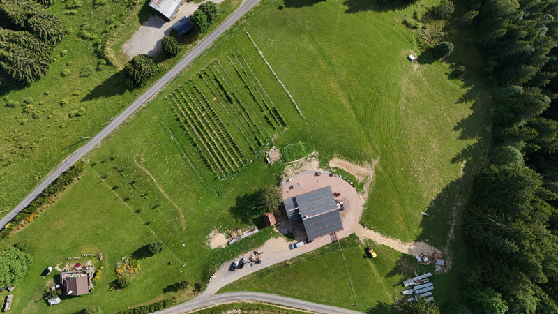 DJI_20240813173039_0123_D