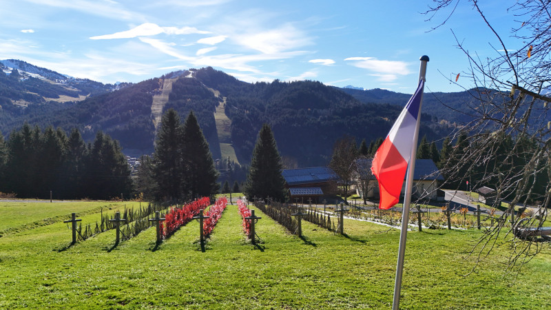 DJI_20251105103519_0693_D DJI_20251105103519_0693_D