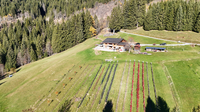 DJI_20251105103959_0714_D DJI_20251105103959_0714_D