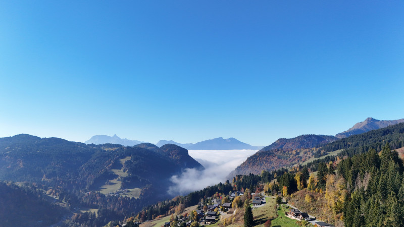 DJI_20251018105455_0550_D