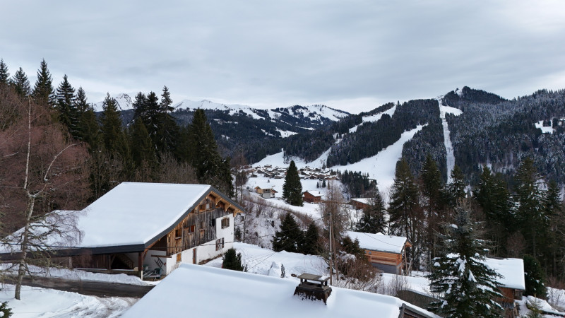 DJI_20260112141609_0234_D