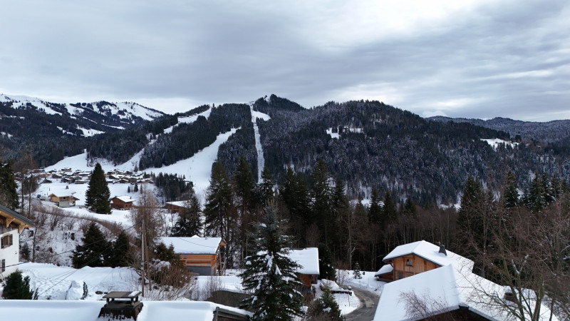 DJI_20260112141612_0235_D