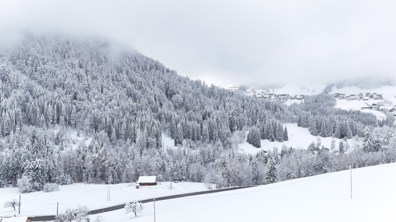 DJI_20251127120518_0960_D