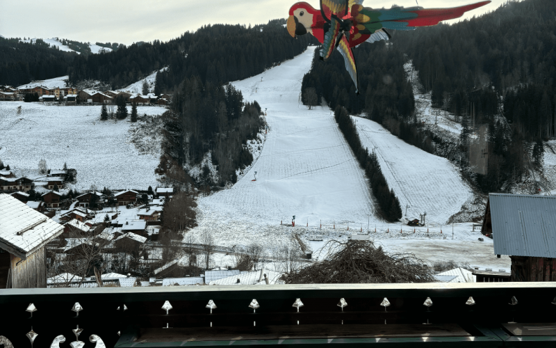 Room 506903-1198802 Room 506903-1198802