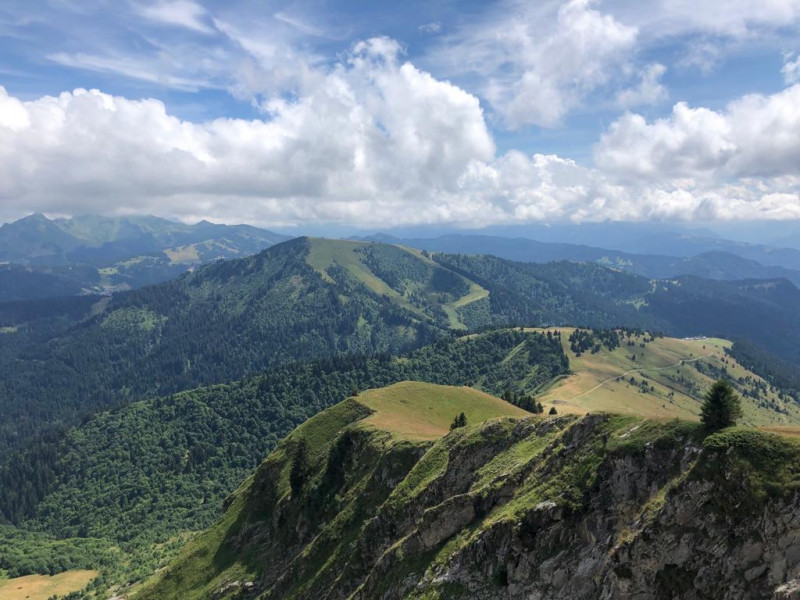 73586ef3-9579-42f0-8ab3-263932b515a5-18440542