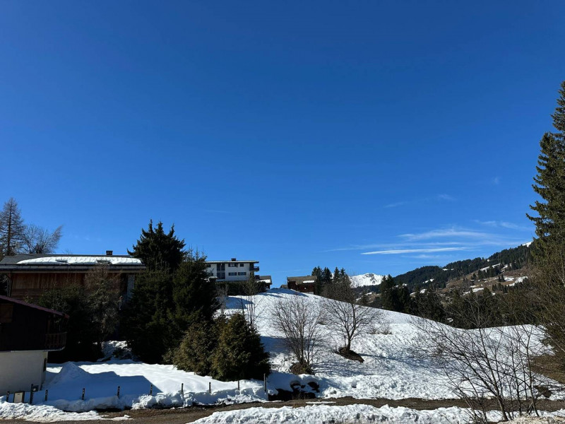 _clients_227426001_photos_114ad_19289677