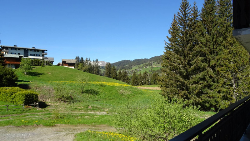 _clients_227426001_photos_114z_18488649