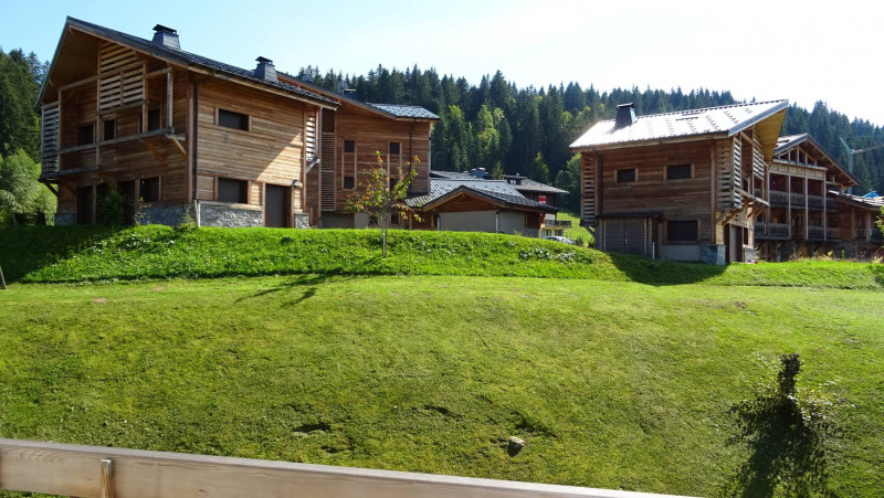 _clients_227426001_photos_156o_16933459