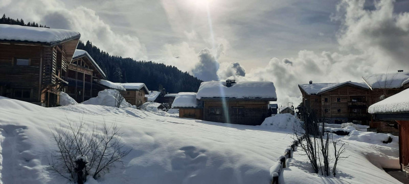 _clients_227426001_photos_156t_19126507