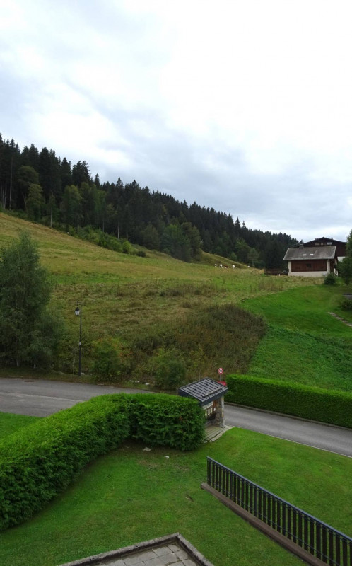 _clients_227426001_photos_208r_18357646