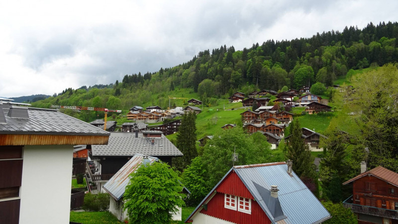 _clients_227426001_photos_246p_19223910