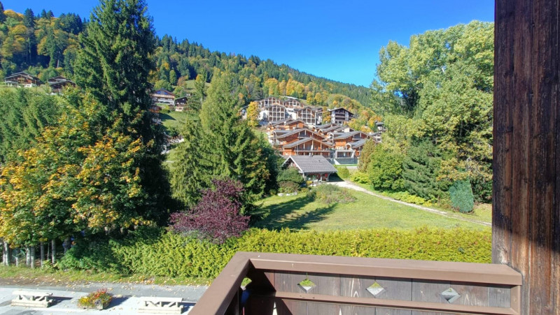 _clients_227426001_photos_254p_18471363