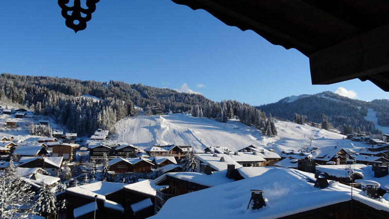 _clients_227426001_photos_73h_17965569 _clients_227426001_photos_73h_17965569