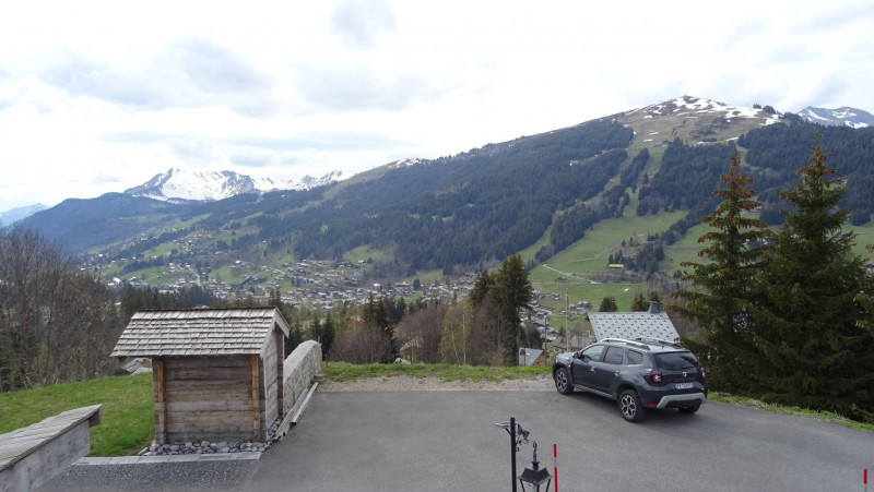 _clients_227426001_photos_82p_19118111