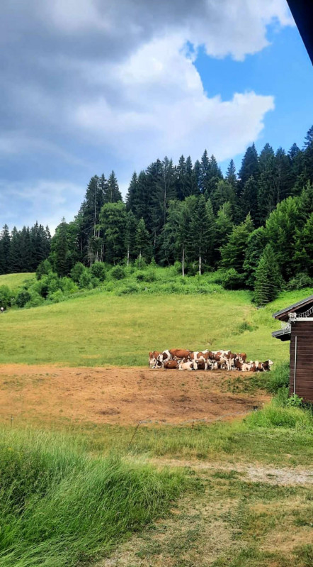 _clients_227426001_photos_8p_18367787