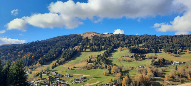 _clients_227426001_photos_98t_18132199 _clients_227426001_photos_98t_18132199