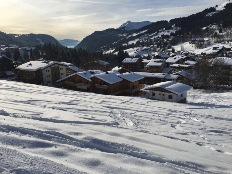 _lv_images__imme_0000008048_03_18097091 _lv_images__imme_0000008048_03_18097091