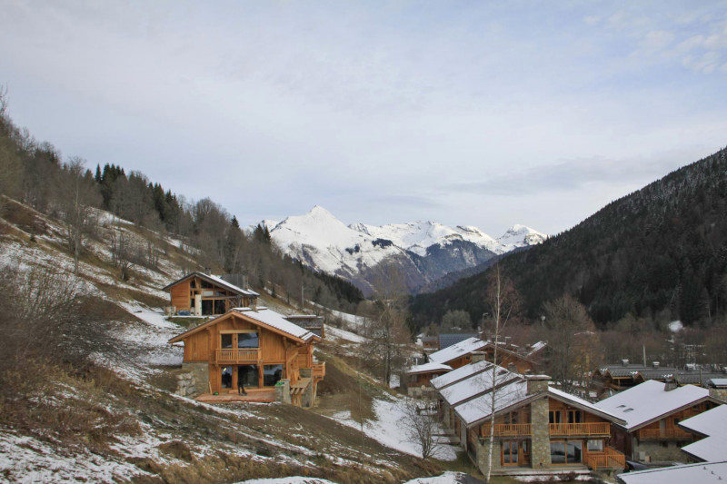 _lv_images__lot_0000000001_11_17669187 _lv_images__lot_0000000001_11_17669187