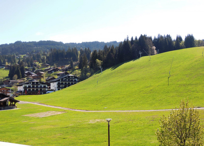 _lv_images__lot_0000000002_15_19225678 _lv_images__lot_0000000002_15_19225678