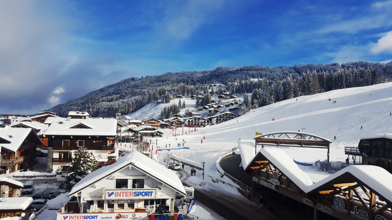 _lv_images__lot_0000000013_12_17640134 _lv_images__lot_0000000013_12_17640134