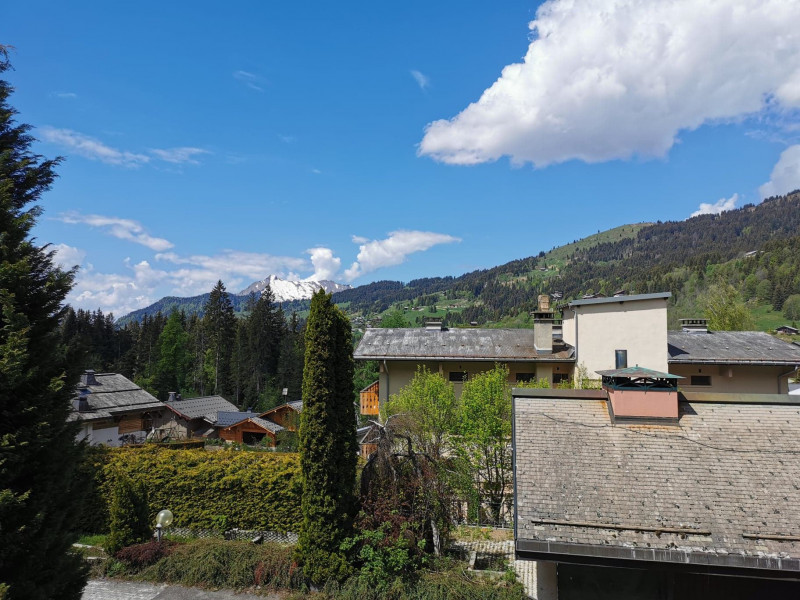 _lv_images__lot_0000000014_09_17876610 _lv_images__lot_0000000014_09_17876610